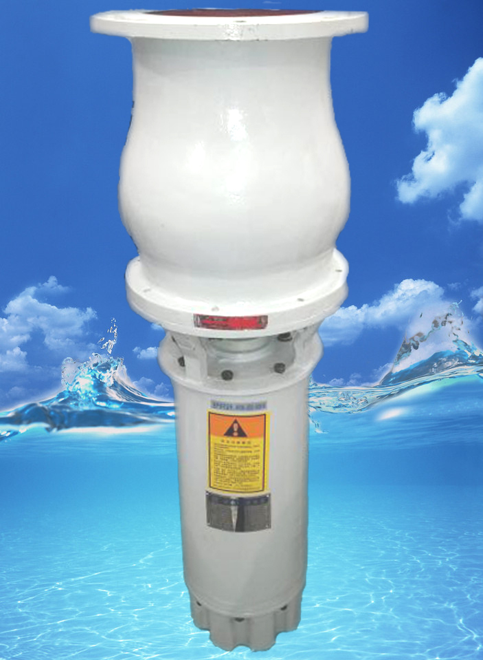 潛水軸流泵1